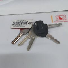 Sleutelbos, zoals gemeld door Gemeente Utrecht met iLost