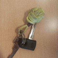 Fietssleutel met huissleutel, ha sido reportado a iLost