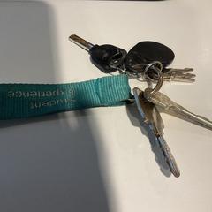 İLost kullanarak Gemeente Amsterdam tarafından bildirildiği gibi Anahtarlar