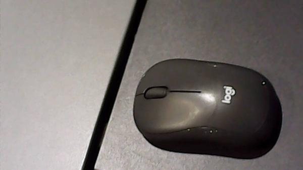 Mouse