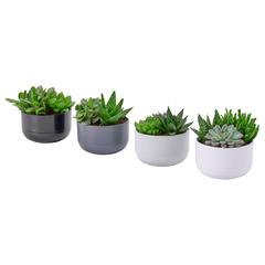 IKEA product, as reported by IKEA Alcorcón using iLost