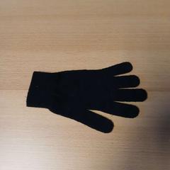 Glove zwart, as reported by UVO Vervoer using iLost