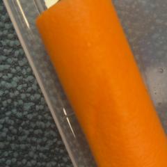 Waterpistool، كما تم الإبلاغ عنه بواسطة De Tovertuin عبر iLost