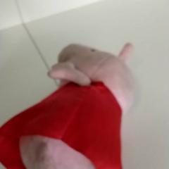 Varios Roze, segundo informou Regio Antwerpen - Brussel usando iLost