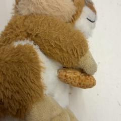 Peluche, come riportato da HTM utilizzando iLost