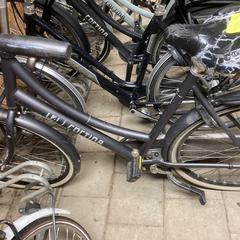 Fiets Cortina Zwart Dames 5-6-26 Ermelo, segons s'ha informat a iLost