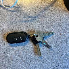 Sleutelbos, som rapporterats till iLost