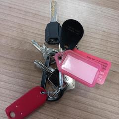 Kulcsok, amint azt Arriva West-Brabant az iLost segítségével jelentette.