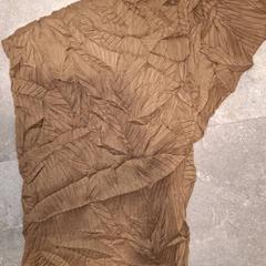 Szal bruin, zgłoszono przez Qbuzz DMG przy użyciu iLost