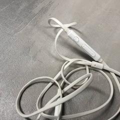 Auricular Wit, como reportado por Arriva Friesland / Groningen utilizando o iLost