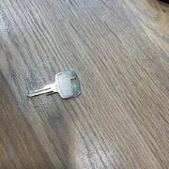 Clé, a été signalé par Designer Outlet Roosendaal utilisant iLost