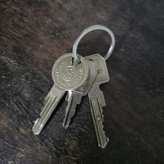 Sleutelbos, jak zgłoszono do iLost