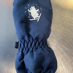 Guantes Dobkerblauw, ijsbeer, ha sido reportado por Burgers' Zoo con iLost
