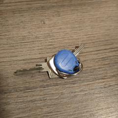 Keys, iLost에 보고됨