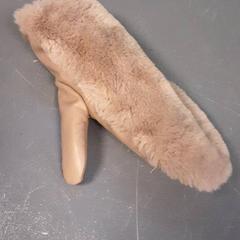 Handske, rapporterat av Diergaarde Blijdorp med iLost