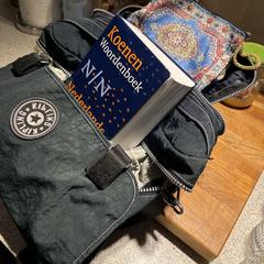 Kipling groen blauwe tas, som rapporterats till iLost