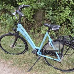 Gazelle Chamonix Comfort, ako bolo nahlásené iLost