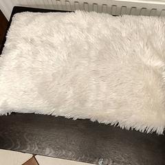 Coixí, segons ha informat Attractie- & Vakantiepark Slagharen mitjançant iLost