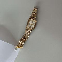 Wristwatch, as reported by Gebo Tours using iLost