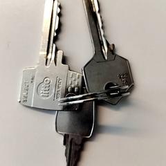 Sleutels, zoals gemeld door Ziekenhuis Oost-Limburg met iLost