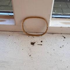 Armband がiLostで DierenPark Amersfoort によって報告されました