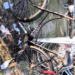 Zwarte opoefiets Voorwiel krom, amint azt Stadswerk072 az iLost segítségével jelentette.