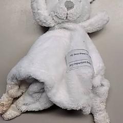 Knuffel Doekje Tut, as reported by Burgers' Zoo using iLost