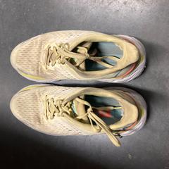 Sneakers, segons ha informat The Dominican mitjançant iLost