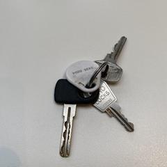 sleutelbos, ako bolo nahlásené iLost