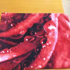 Baddoek, as reported by Carlton Beach Hotel using iLost