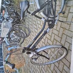 Damenrad, gemeldet von Gemeente Roermond über iLost