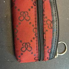 Zorroa Morry, gisa salatu by Regio Oost-Vlaanderen iLost erabiliz