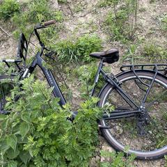 Fiets (dames) SKD City Bike Cortego Women, iLost-i jakinarazi zaion moduan