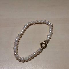 ブレスレット がiLostで Arriva Oost-Brabant によって報告されました