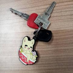 سلسلة المفاتيح، كما تم الإبلاغ عنه بواسطة Transdev Hoeksche Waard Goeree Overflakkee عبر iLost