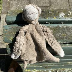 Knuffel aapje, iLost에 보고됨