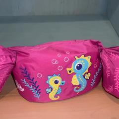 Puddle jumper, as reported by Familie Resort Molenwaard using iLost