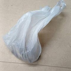 Sac, a été signalé par Qbuzz GD Groningen Peizerweg utilisant iLost