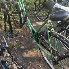 Groene omafiets, como reportado ao iLost