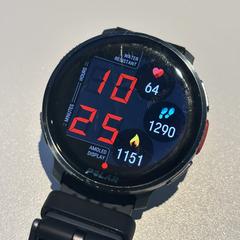 Polar Smartwatch an iLost gemeldet