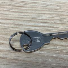 Klíč, jak nahlášeno Diakonessenhuis Utrecht pomocí iLost