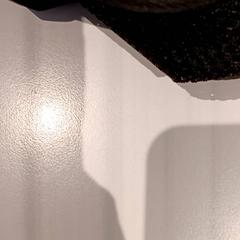 Bolsa, ha sido reportado por De Efteling con iLost