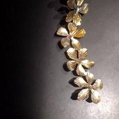 Molletta Goud, come riportato da TivoliVredenburg utilizzando iLost