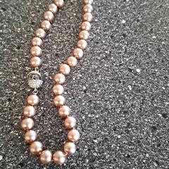 목걸이, iLost를 사용하여 Connexxion Amstelveen에 보고됨