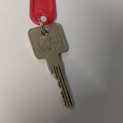 Clau, segons ha informat St. Antonius Ziekenhuis Utrecht mitjançant iLost