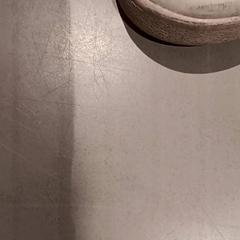 Topánka, ako bolo nahlásené De Efteling pomocou iLost