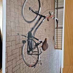 Rower damski, zgłoszono przez Gemeente Roermond przy użyciu iLost