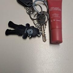 鍵 がiLostで Connexxion Haarlem IJmond によって報告されました