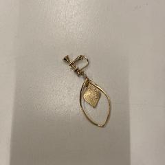 Kolczyk, zgłoszono przez IKEA神戸 przy użyciu iLost