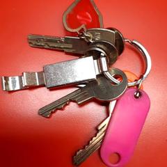 キーホルダー がiLostで UvA REC によって報告されました